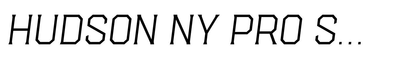 Hudson NY Pro Serif Thin Itl